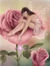 Rose fairy