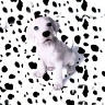 spots