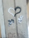 rat fly love