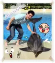 david archuleta archeyangels