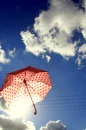 umbrella in the sky