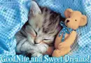 sweet dreams