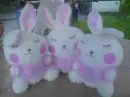 bunny