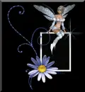 Fairy