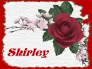 Shirley