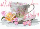 Shirley