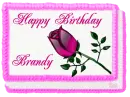 Happy Birthday Brandy