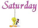 Saturday