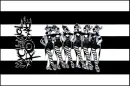 My Chemical Romance Flag