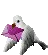 Bird carrying a letter