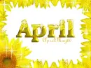 sunflower april