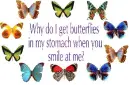butterflies in stomach