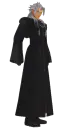 xemnas