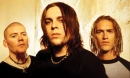 Seether