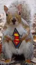 super squirl