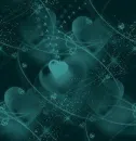 solarized hearts
