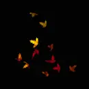 Falling Autumn Leaves