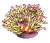 Nemo friends