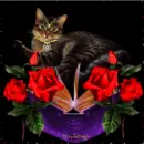 Cat and roses