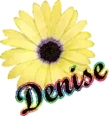 Denise (yellow flower)