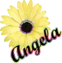 Angela (yellow flower)
