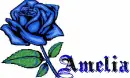 this is for you Amelia