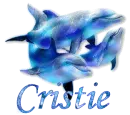 Cristie - Dolphins