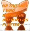 butterflies