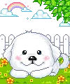 CUTE PUPPY