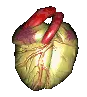 heart omg