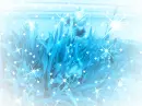Deep Sky Blue Irises