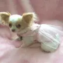 puppy pink