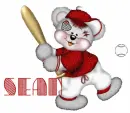 Sean red baseball bear