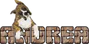 ANDREA-boxerdog