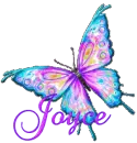 JOYCE-butterflymoo1