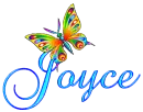 JOYCE-butterflymoo2
