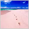 Footprints in the Sand