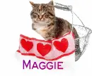 Cat-Maggie