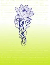 water lily