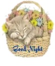 Good Night