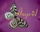 butterfly-Ingrid