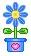 cute flower