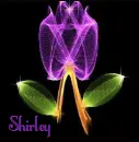 Shirley
