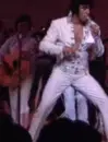 elvis