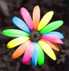 rainbow flower