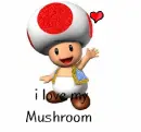 I love my mushroom