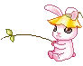 bunny