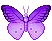 purple butterfly