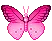 pink butterfly