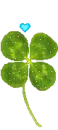 clover